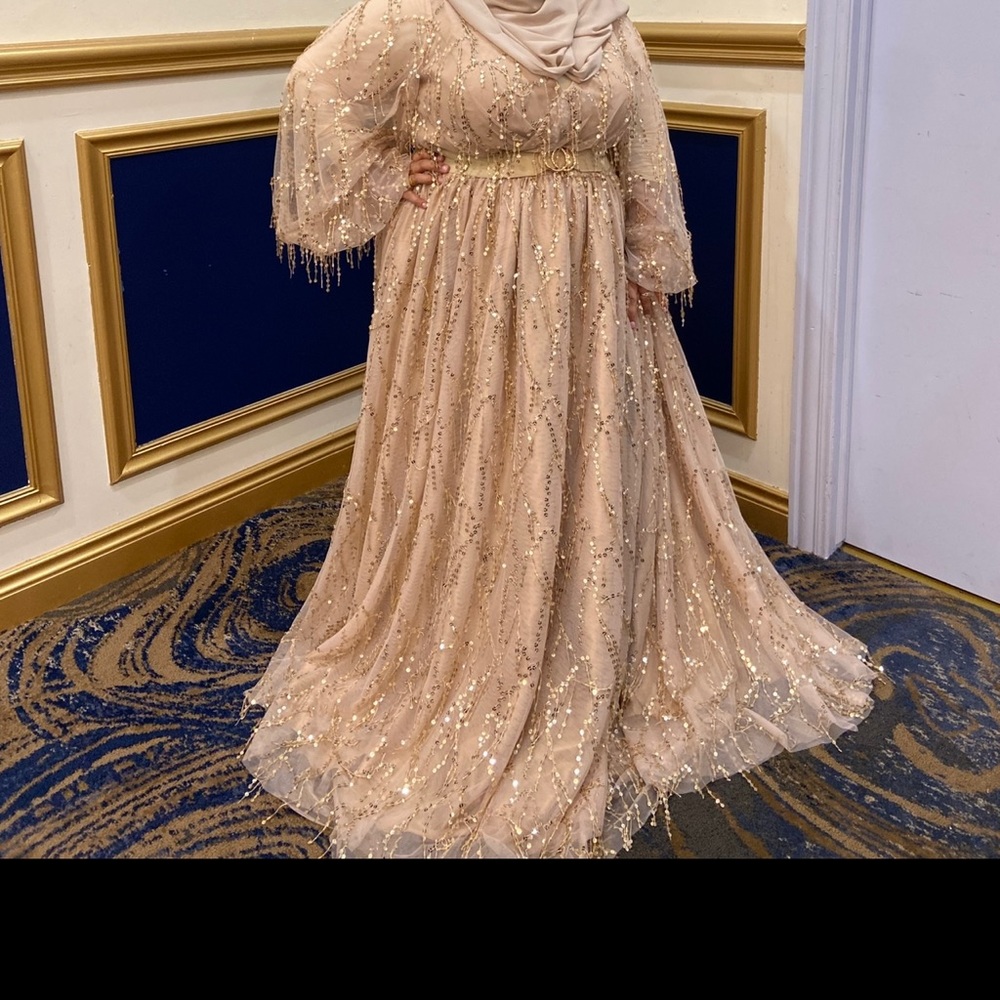 Party dress plus size evening gown